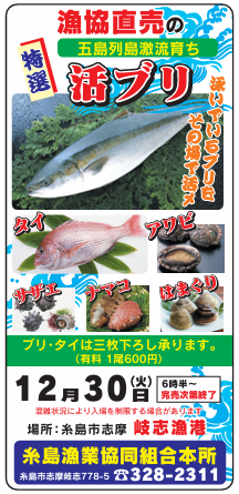 ブリ販売