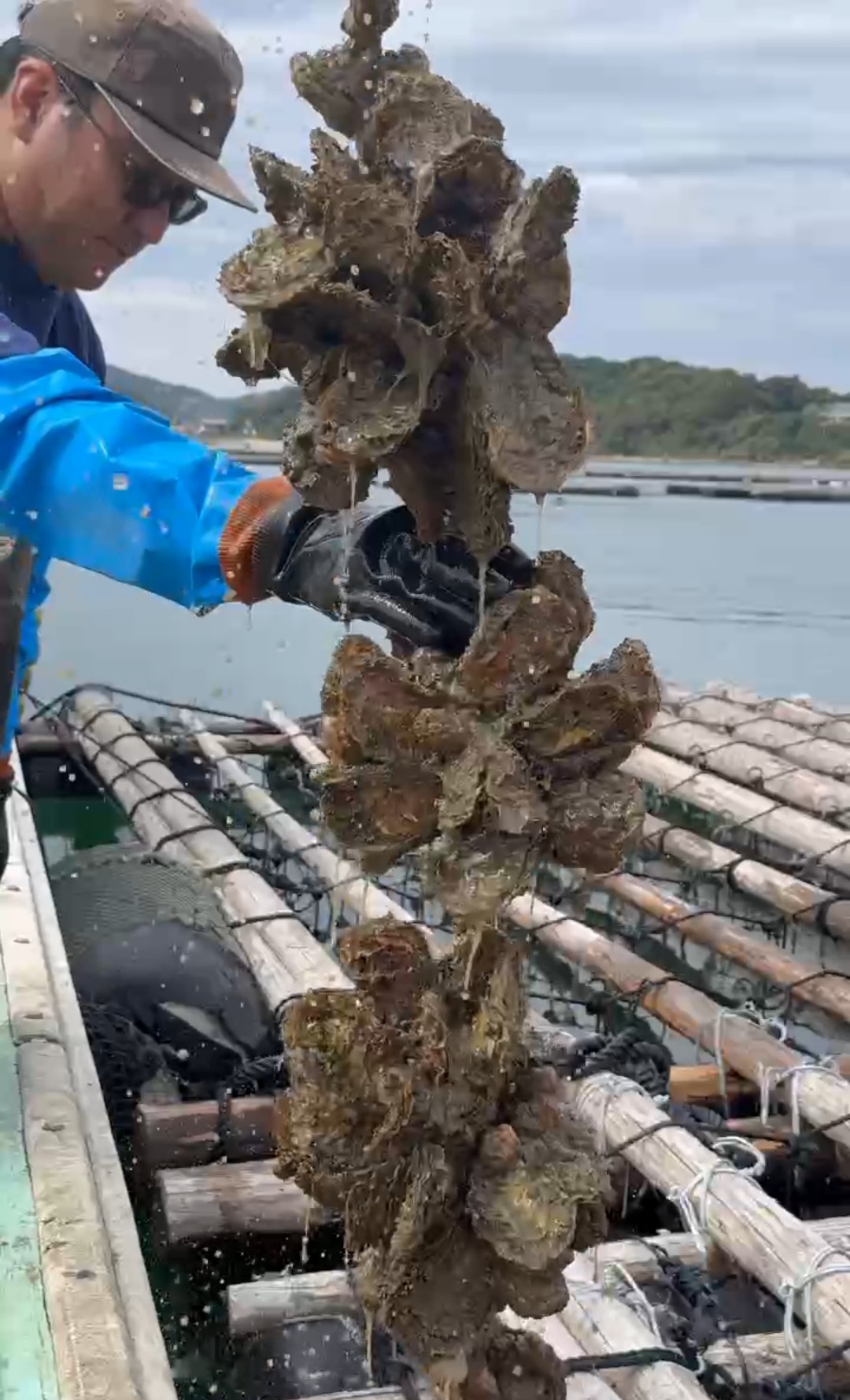牡蠣